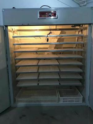 Ovos automáticos da incubadora do ovo que engatam a máquina