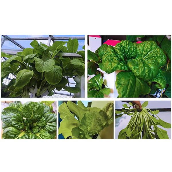2023 Hot selling plastic pot hydroponic vertical garden artificial wall pot vertical garden 112+ Plants hydroponics vertical