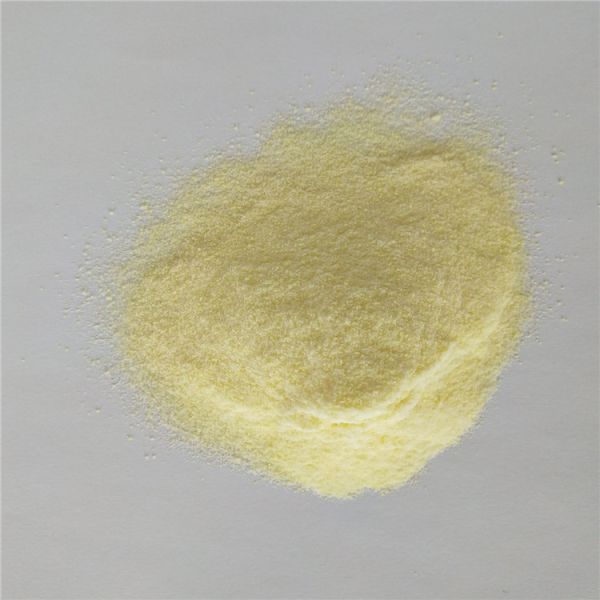 durian fruit powder buy best health benefits supplement smell products nutrition