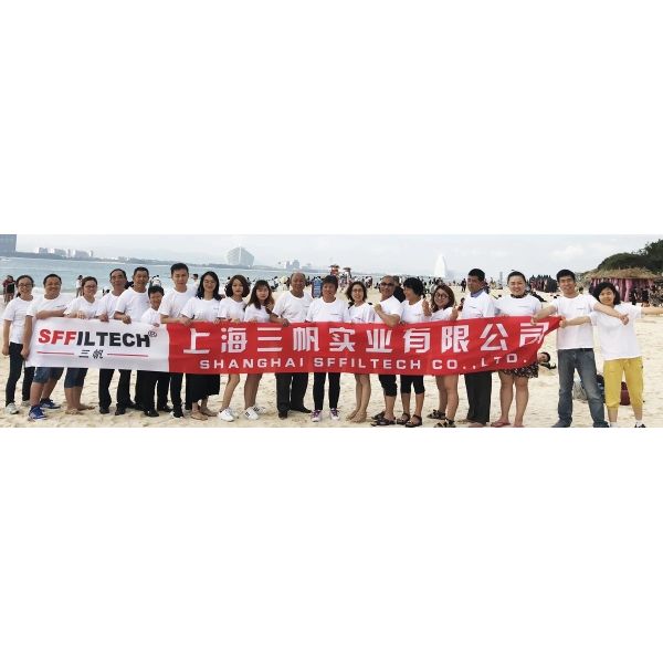 Shanghai Sffilter Industry Co., Ltd.