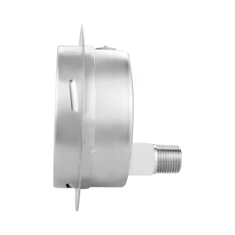 -Made 100mm Precision Axial Flange Edge Pressure Gauge for Water and Gas Measurement