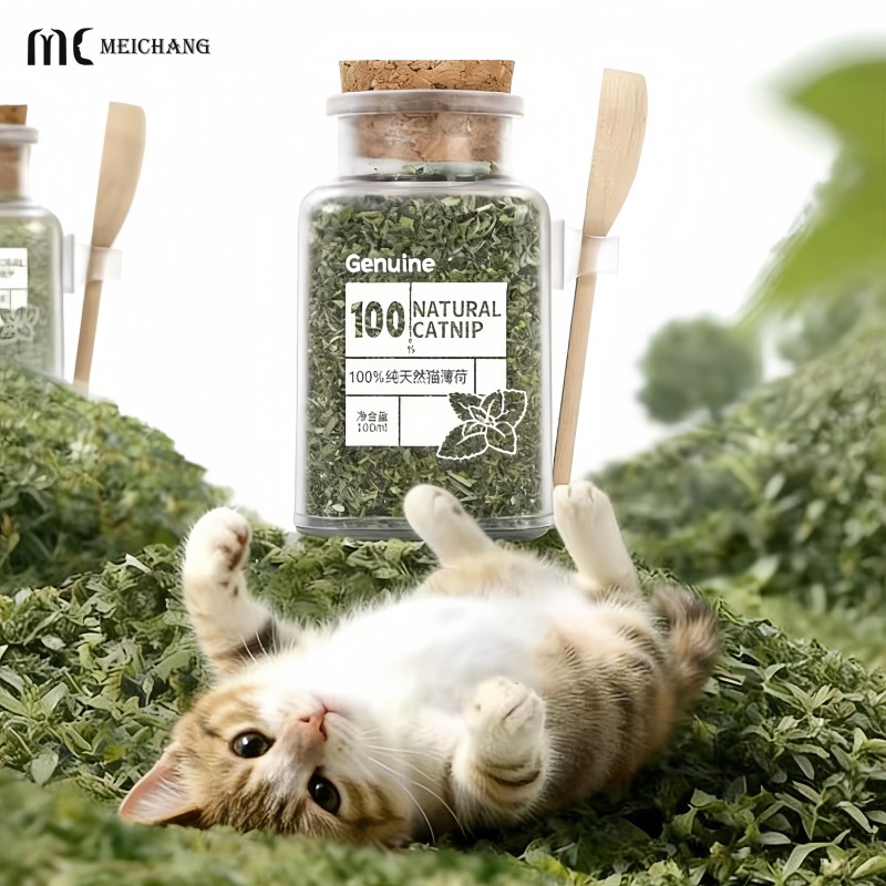 100G 200G 300G PCR Eco-Friendly Square Airtight Cat Grass Storage Jar Fresh-Lock Anti-Loss Pet Food with Measuring Spoon(MC-P-550-1)