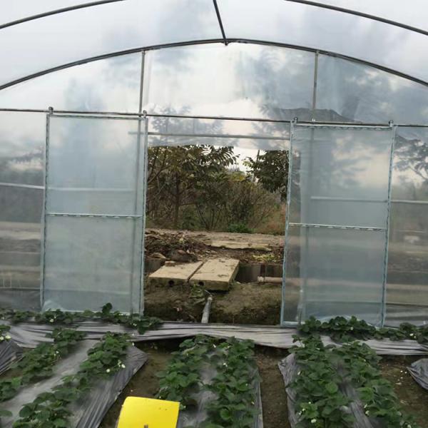 estufa agrícola do filme de polietileno da estufa de 6m para o cultivo da flor