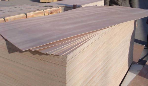 Eucalyptus Commercial Grade Plywood With Okoume Faced Standard Size