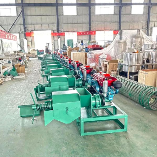 Palm Kanel Oil Machine Cold Press Oil Machine Palm Seed Machine to Make Palm Oil