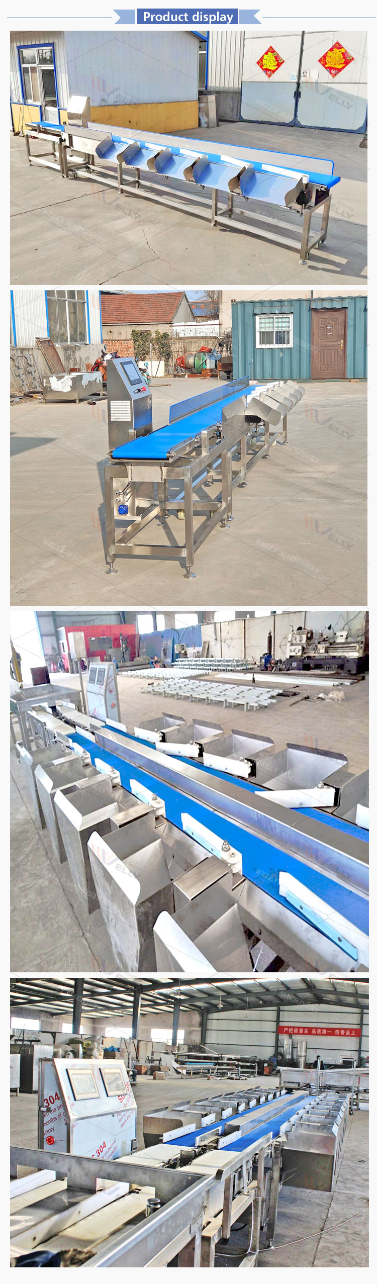 Vertical Aquaculture Fish Conveyor Belt Check Weigher Sorting Fruit &Vegetable Olive Grading for Sale Tilapia Grading Machine