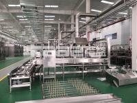 Industrial Mesh Belt Conveyor Dryer Machine Dry Fruit Slicing Machine For Vegetable