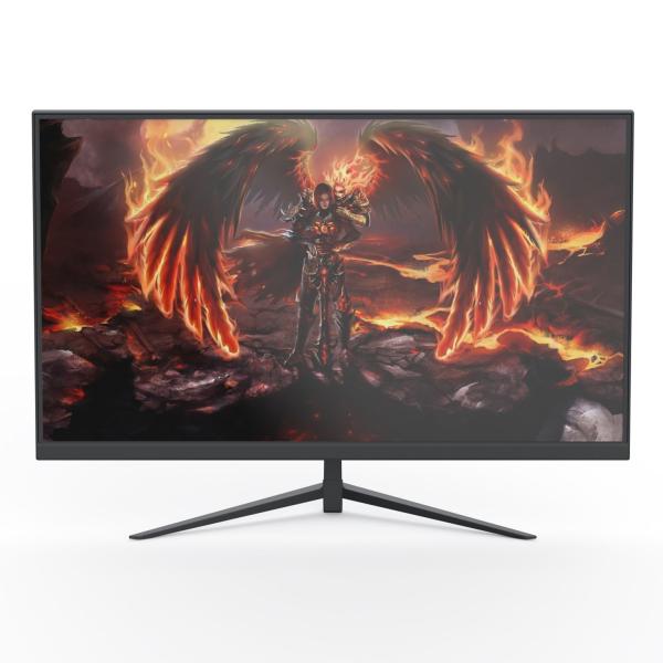 IPS 25 Inch Flat Panel Computer Monitor 250Hz Double HDMI And Display Port