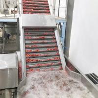 o tomate 50Hz fresco cola a linha de produção automática da ketchup do equipamento de processamento