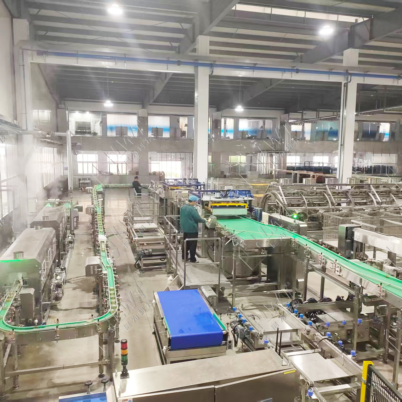 Tuna Canning Production Line Complete Equipment