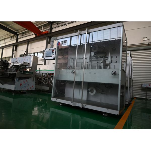 Stainless Steel Fully Automated Sterile Cartoning Machine with CE GMP ISO Compliance for Blister Packaging