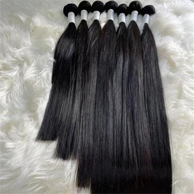 Cutuleira virgem alinhada de cabelo brasileiro em feixes de 12A