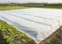 Spunbond PP Polypropylene Agricultural Crop Cover Extra Wide Nonwoven Fabric