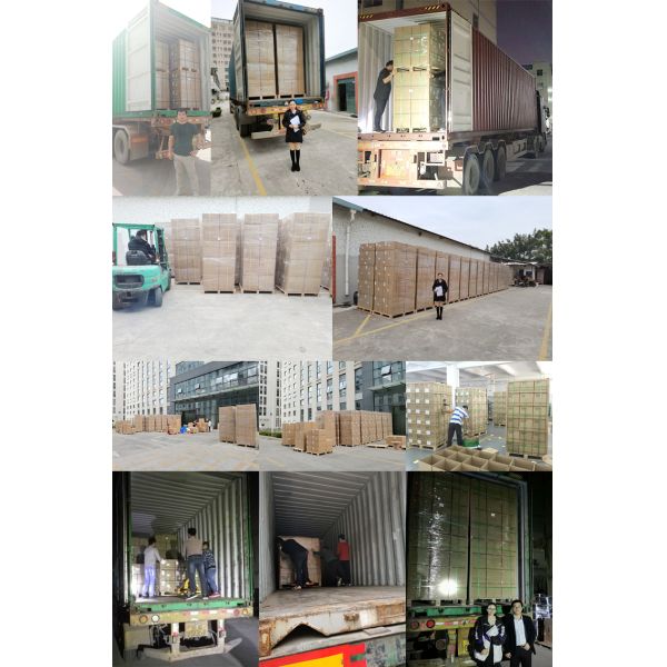 Single Core OMCFC 200 Fiber Optic Tools High Precision Fiber Cleaver