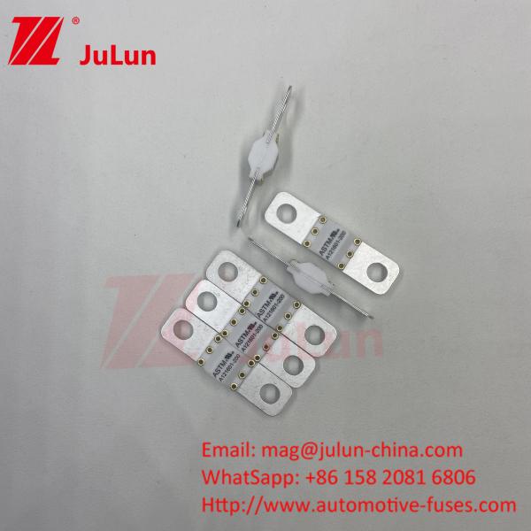 125VDC 300A ASTM Electric Vehicle Fast Charging  / Ev Dc Fast Charger Fuse With Bolt Screw Protection