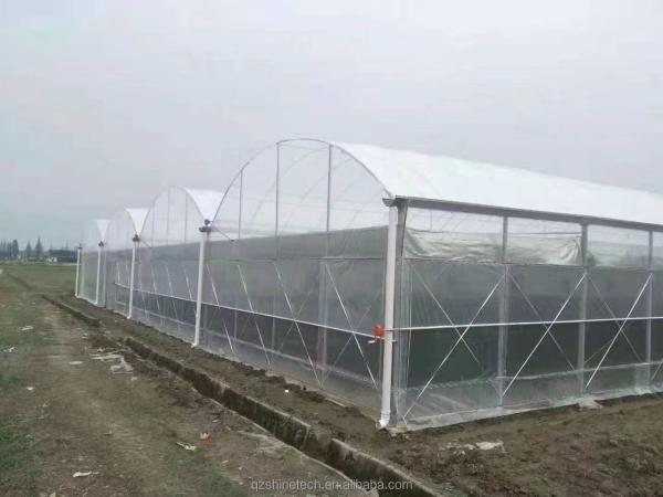 Super Strong Resistance Agriculture Multispan Greenhouse Frame for Growing Vegetables