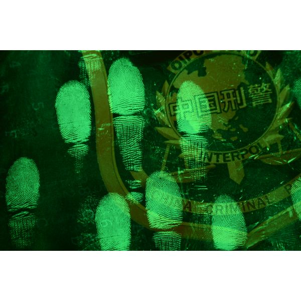 C125 Yellow/red Spherical fluorescent fingerprint powder