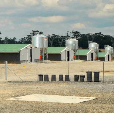 Industrial Design Style Steel Structures for Poultry House Broiler Chicken Coop Farm