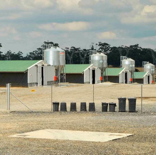Estrutura leve pré-fabricada de aço de estilo industrial
