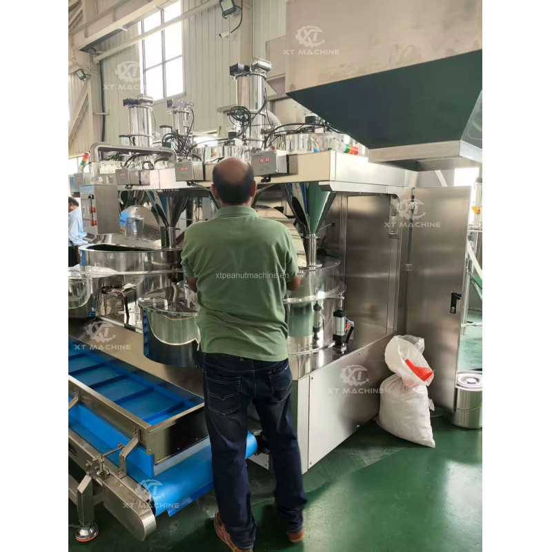 Professional Stainless Steel Automatic Peanut Coating Machine with 200-250kg/h Capacity and Single Pan Design