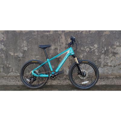 20 Inch Children Bicycle With Suspension Fork And Carbon Fiber Frame Weighs Only 11kg
