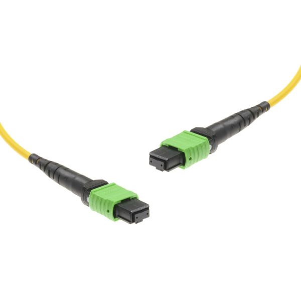 High Density 48 Cores 4pcs 12F Male SM 9 125um G657A2 LSZH 0.35dB Max. MPO Patch Cable for 100G Fiber Optic Communication System Cord Type B