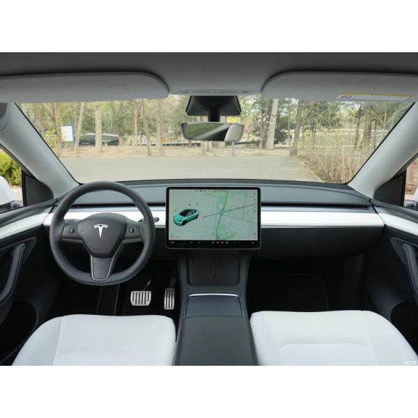 High Pressure Diesel Tesla Model Y Car Wash Machine Electric Fuel Experience Car