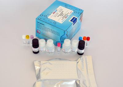 Thiamphenicol ELISA Test Kit Quick ELISA Assay High Sensitivity (0.1 Ng/G Or ppb)