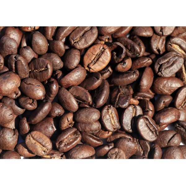 Industrial Intelligent Beans Color Sorter For Peanuts Soybean Kidneybean