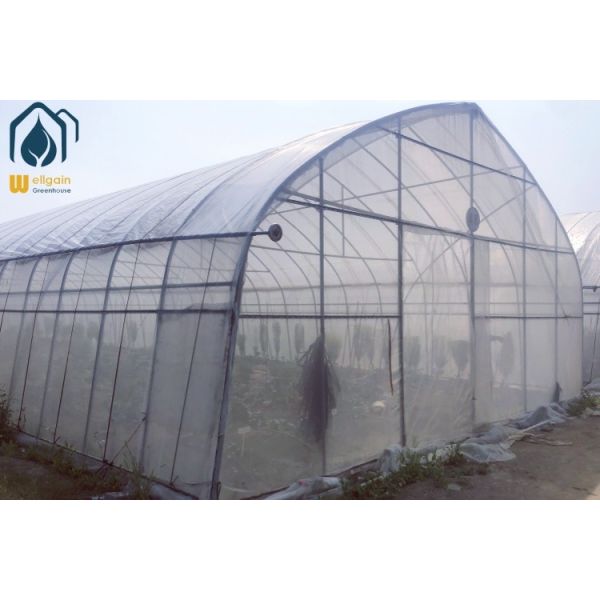 Arched Tunnel Greenhouse OEM Agricultural Green Houses For Small Vegetables Farming