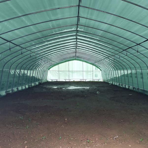 Agriculture Chinese Organic Mushroom Management Greenhouse Single-Span Greenhouses