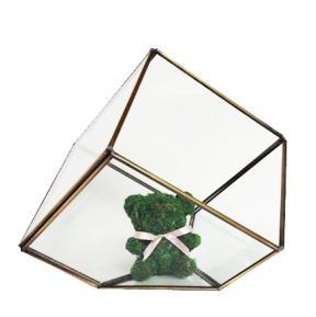2016 new hanging clear glass prism air plant terrarium tabletop succulent plants holder
