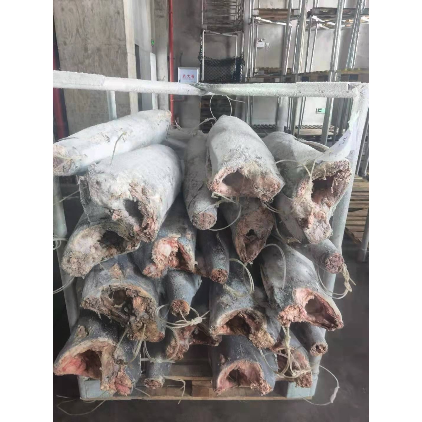 Замерзать IQF HGT индивидуальный быстрый 25kg + замороженные рыбы шпаги для продажи