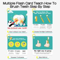 Os dentes de escovadela de ASTM modelam For Homeschool Learning