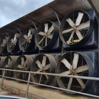 Big Air Cooling Circulation Industrial Exhaust Fan Aluminum Blade Poultry Farm Fan