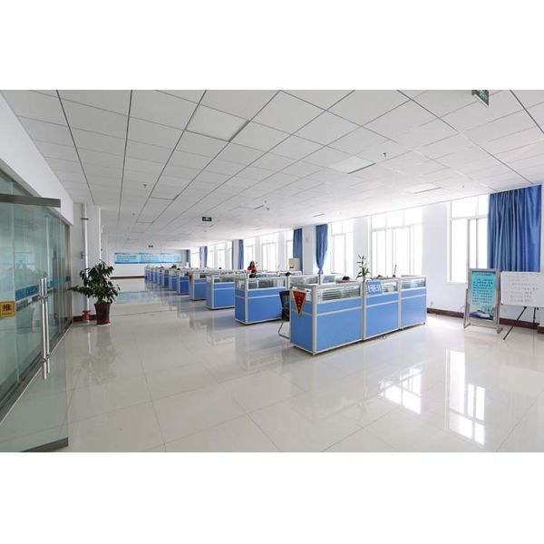 Shandong China Coal Industrial & Mining Supplies Group Co., Ltd.