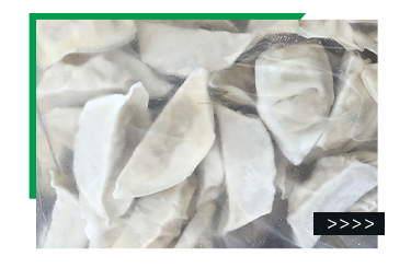 High Quality Source Manufacturer Delicious Quick Japanese Style Steamed Dumplings Fried Frozen Jiaozi Gyoza