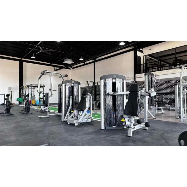 Commercial Fitness Gym Pin Loaded Pectoral Fly Machine for Rear Delt and Chest Fly