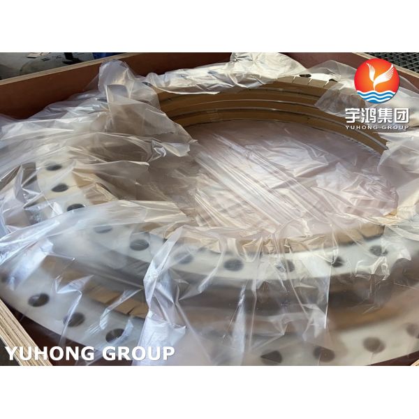 ASTM A240 F904L / UNS N08904 AWWA C207 Ring Type Flange for Waterworks Service