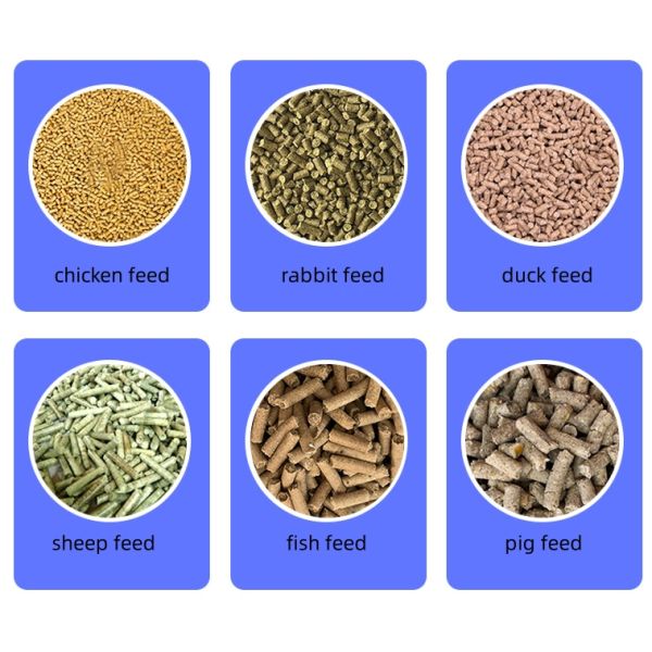 EWPM230B Poultry Feed Pellet Machine Household Pellet Mill 11KW 1460r/m
