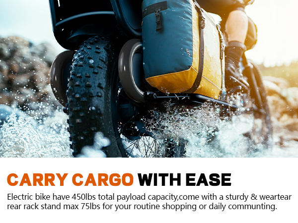 Family 48v 750w Electric Bike  Carry Kids  Front Near Box  Family Long Tail  Ebike Velo  Cargo for Pets  Camping