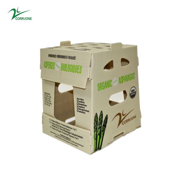 el plegamiento del espárrago de 2m m 3m m acanaló el polipropileno PP de las cajas plásticas