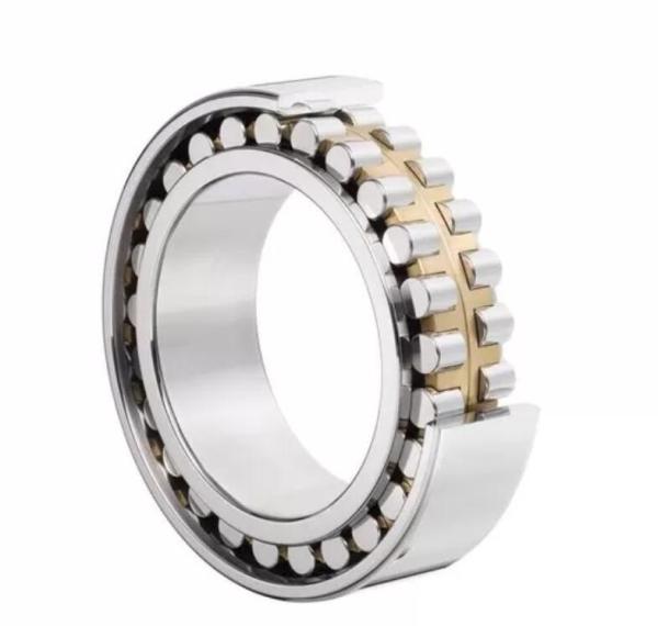 Carbon Steel NU203~NU244 110 mm Brass Cage Cylindrical Roller Bearings