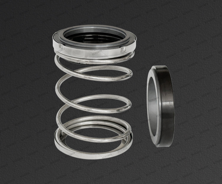 BERGMAN Заменить Grundfos GLF-SRL-SA-38S 50S 65Смм Скважина насос Механическая уплотнение Патрон уплотнение