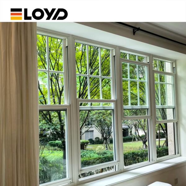 Double Single Hung Window with Slim Aluminium Frame and Tempered Glass