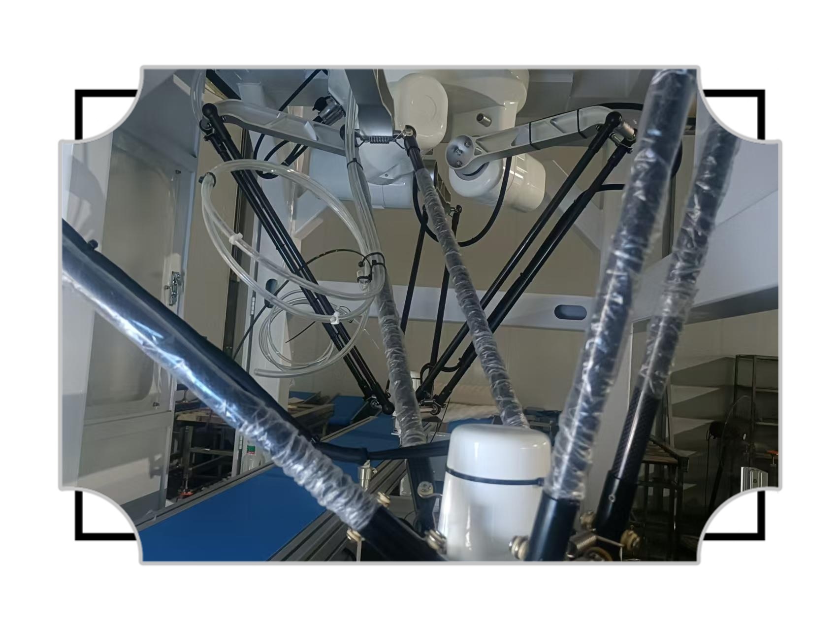 Precision Positioning Delta Robot with Hygienic Design for Pharmaceutical Pick-and-Place Applications