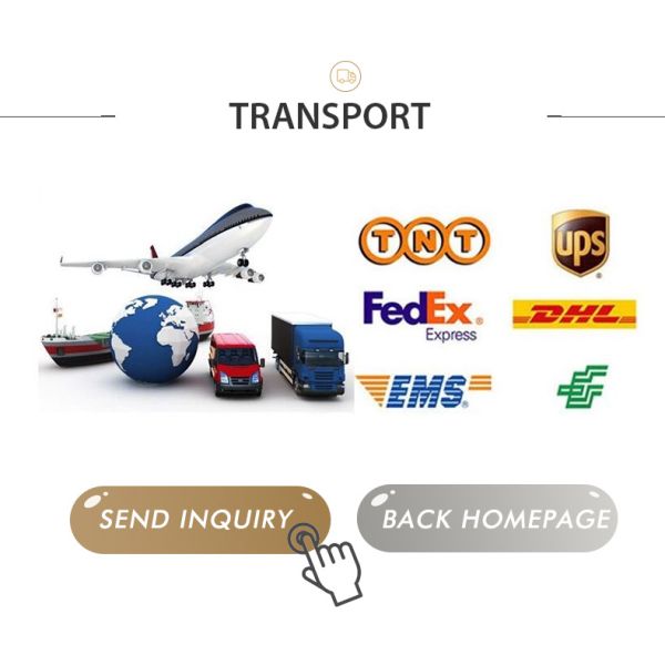 Luxury Shower Steam Wood Sauna Room