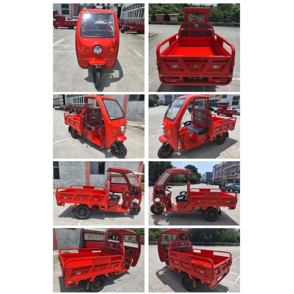 70-90km Driving Mileage Open Body Type EEC Tricycle for Standards