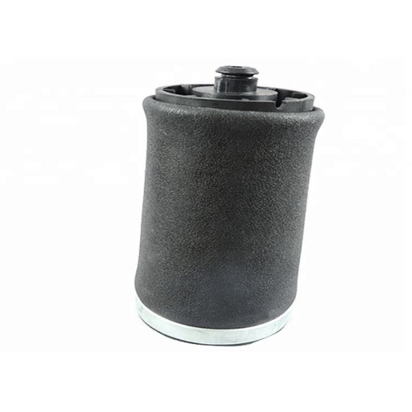 Rear Right X5 E53 37121095579 BMW Air Suspension