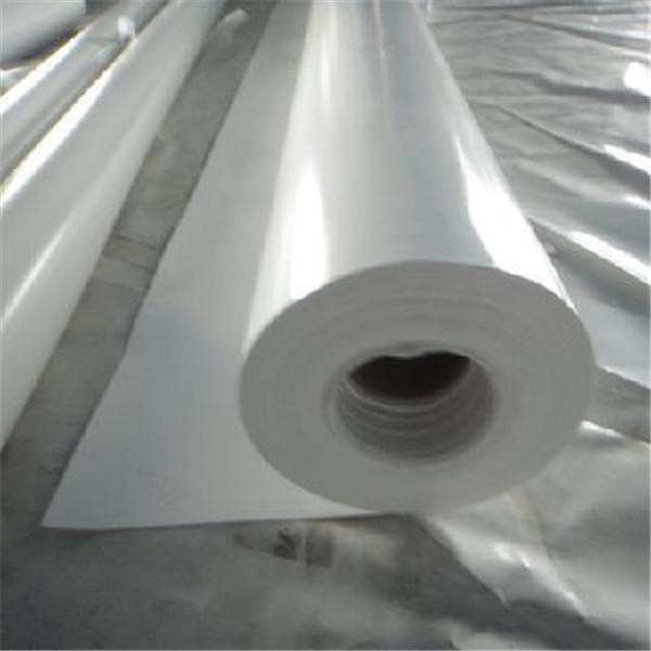 PVC PVDC Cling Cast Film Extrusion Line 250kg H Food Packaging